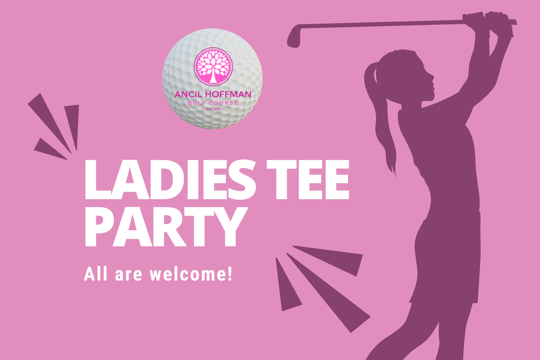 Ancil Ladies Tee Party Email 6 x 4 in